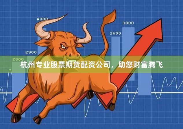 杭州专业股票期货配资公司，助您财富腾飞