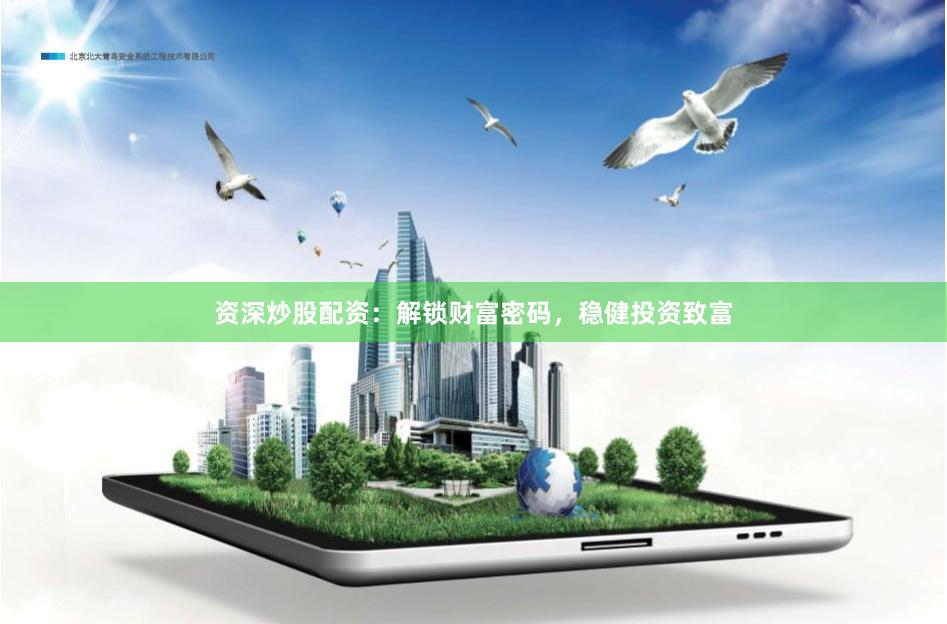 资深炒股配资：解锁财富密码，稳健投资致富