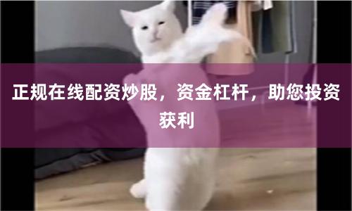 正规在线配资炒股，资金杠杆，助您投资获利